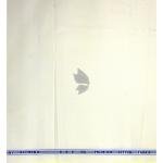 Raymond 100% Egyptian Giza Cotton (Premium Cotton) Cream (White) colour Plain Pattern Unstitched Shirt Fabric of 1.60 meters / VV2383N