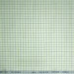 Raymond 100% Premium Cotton Green Checkered Unstitched Shirt Fabric - 1.60 metres / VV6746