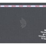 Raymond 100% Pure Wool (All Wool) Plain Grey Color Unstitched Suit Fabric - 3 Mts / VV2087