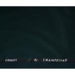 J.hampstead Green Plain Terron Rayon Unstitched Trouser Fabric - 1.25 Metres - VV6037