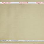 Raymond 100% Premium Cotton Beige Solid Unstitched Shirt Fabric - 1.60 metres / VV6704