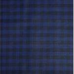 Raymond Adorn Super 90's Merino Wool Blue Checkered trouser Fabric-3.5 mts / VV6812 - The VIJAYESHWARA Product