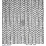 Raymond 100% Premium (Giza) Cotton Printed Brown colour Unstitched Shirt Fabric - 1.60 mts / VV2262 - R225