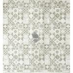 Raymond 100% Pure Linen Beige color Printed Unstitched Shirt Fabric of 1.6 meters / VV2389O