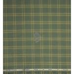 Siyaram's Bamboo Blended with Anti Bacterial benefits Checkered pattern Green Colour Unstitched Shirt Fabric of 1.6 Mts / VV2372T