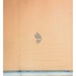 Siyaram's Bamboo Blended with Anti Bacterial benefits Plain pattern Orange (Apricot) Colour Unstitched Shirt Fabric of 1.6 Mts / VV2372E