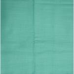 Weaves Empire 100% Linen Cotton with BATISTE Weaving Green Colour Plain Unstitched Shirt Fabric - 1.6 mts / VV1002