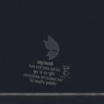 Raymond 100% Pure Wool (All Wool) Navy Blue Color Solid Unstitched Trouser Fabric - 1.25 Mts - The Vijayeshwara Product / VV2027