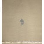 Raymond 35% Viscose blended Beige colour Solid Pattern Unstitched Suit Fabric of 3.5 Mts / VV2340