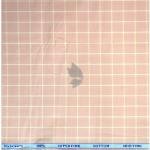 Siyaram's 100% Superfine Cotton Orange (Champagne) colour with Checkered Pattern Unstitched Shirt Fabric of 1.6 Mts / VV2359B