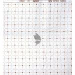 Raymond 100% Egyptian Giza Cotton (Premium Cotton) White Printed Pattern Unstitched Shirt Fabric of 1.60 meters / VV2388Z