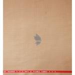 Raymond "Upmaze" collection, soft fabric Australian merino wool blended Beige colour, Jacquard pattern unstitched suit fabric of 3.5 Mts / VV2704