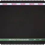 RAYMOND COOL EDGE PURE COTTON BROWN SOLID UNSTITCHED SUIT FABRIC 3 METERS / VV4139