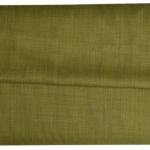 Raymond Patrizia Super 70's Merino Wool Green solid Suit Fabric - 3.0 mts / VV6808